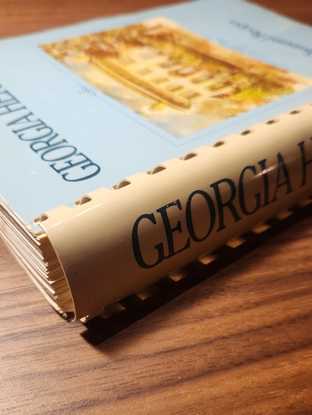 Vintage georgia heritage